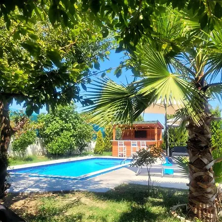Villa Olive Tree *