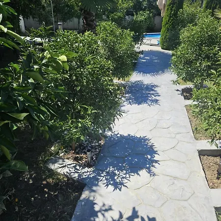 Olive Tree Villa *