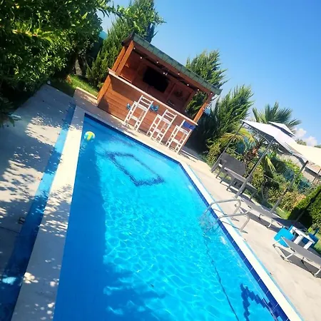 Villa Olive Tree
