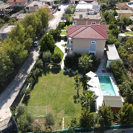 Villa Olive Tree