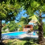 Villa Olive Tree *