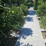 Olive Tree Villa *