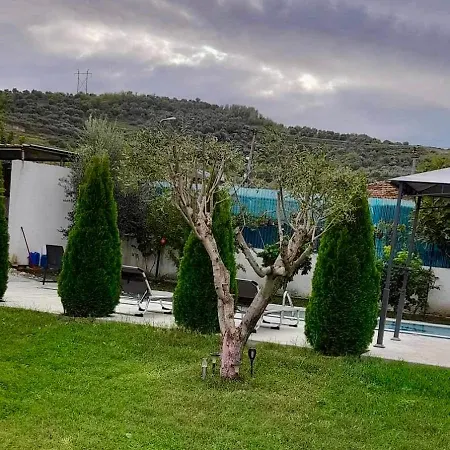 Olive Tree Φιέρι